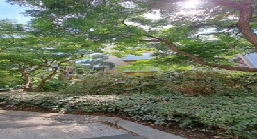 כפר סבא,מרכז העיר,דקל,5 חדרים חדרים,דירה,דקל,3325